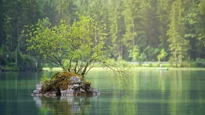 Comment fonctionne un groupement forestier ?