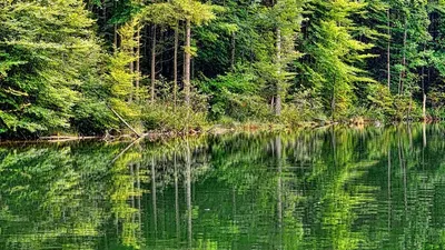 France Valley annonce le lancement du premier GFI agréé par l'AMF