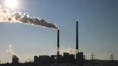 La forêt française, un moyen efficace pour limiter les gaz à effet de serre