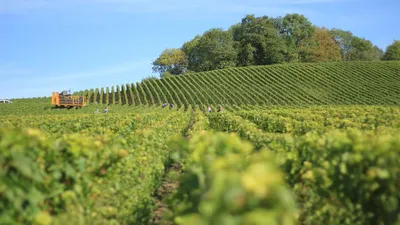 Investir dans la « terre » - un placement au succès grandissant