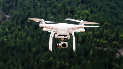 Pourquoi le drone s’initie dans la gestion forestière ?
