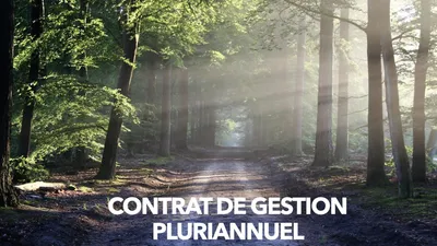 Qu’est-ce qu’un contrat de gestion pluriannuel pour une forêt ?