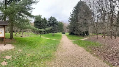 L’Arboretum Lyons-la-forêt : à la découverte d’une des plus belles hêtraies de France et d'Europe