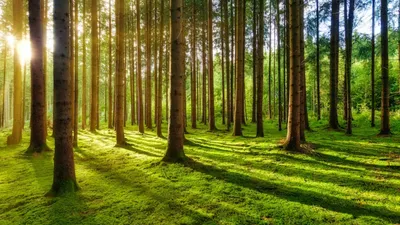 Le GFI VATEL ouvert à la commercialisation !