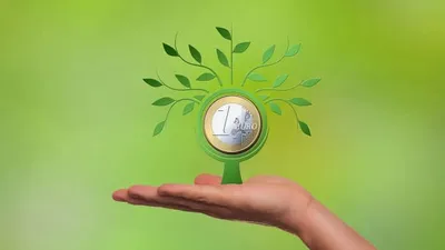 Investir dans la forêt, est-ce une bonne idée ?