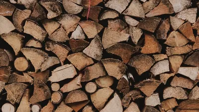 Des prix du bois en très forte hausse en 2022 selon France Bois Forêt