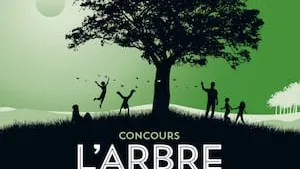 Le Concours de l'Arbre de l'Année 2023 : à la découverte des plus beaux arbres de France