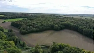 GFI Vatel : Acquisition majeure d'une forêt de 65 ha dans l'Indre