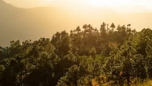 Le GFI Coeur-Forest obient le Label Greenfinn