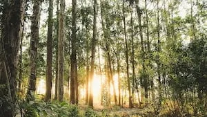 Une 8ème acquisition pour le GFI FORECIAL