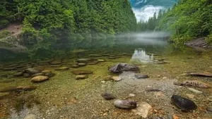 Pourquoi intégrer la forêt dans son patrimoine ?