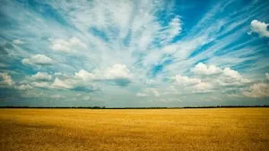 Les Groupements Fonciers Agricoles d'Investissement vont être créés !