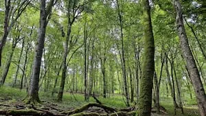 Une 9ème acquisition pour le GFI FORECIAL