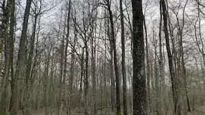 Le GFI FORECIAL acquiert sa 10ème forêt