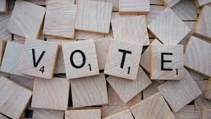 Les votes pour élire l’Arbre de l’année 2024 sont ouverts !