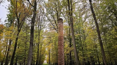 Le GFI France Valley Patrimoine enrichit son portefeuille forestier