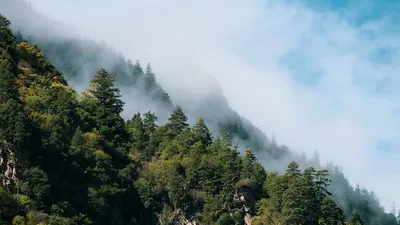 Hausse des prix de part des SA France Valley Revenu Europe