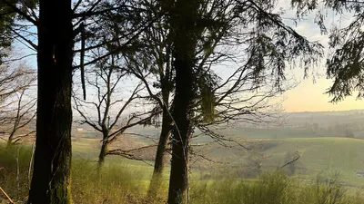 Le GFI CoeurForest s’agrandit avec une nouvelle forêt dans le Morvan