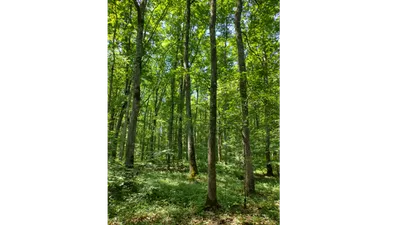 GFI FORECIAL : Une nouvelle acquisition forestière dans le département de l’Allier