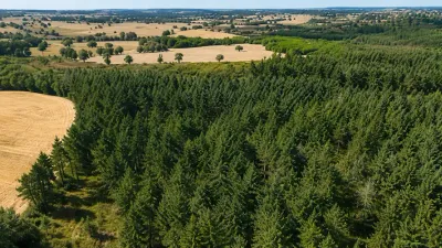 Le GFI Vatel II acquiert la forêt de Montfaut et du Gat dans l’Allier
