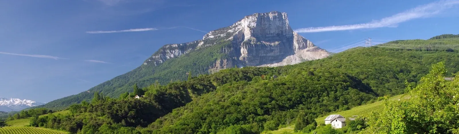 Montagne et collines boisées