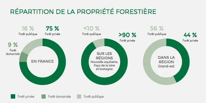 Répartition de la propriété forestière : en France 75 % privée, 16 % publique, 9 % domaniale ; plus de 90 % privée en Nouvelle-Aquitaine, Pays de la Loire et Bretagne ; Grand Est 56 % publique, 44 % privée (IGN 2016)