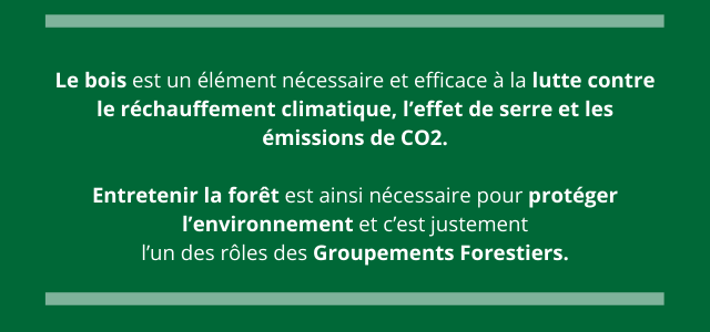 Le bois est un élément nécessaire et efficace à la lutte contre le réchauffement climatique, l’effet de serre et les émissions de CO2. Entretenir la forêt est ainsi nécessaire pour protéger l’environnement et c’est justement l’un des rôles des Groupements Forestiers.