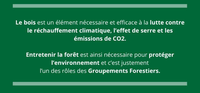 bois-lutte-contre-rechauffement-climatique-groupement-forestier