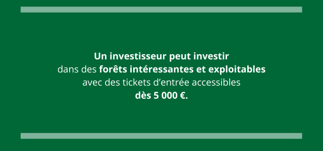 Un investisseur peut investir dans des forêts intéressantes et exploitables avec des tickets d’entrée accessibles dès 5 000 €.