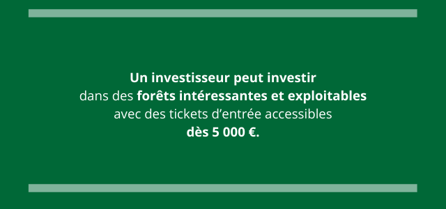 groupement-forestier-accessible-des-cinq-mille-euros