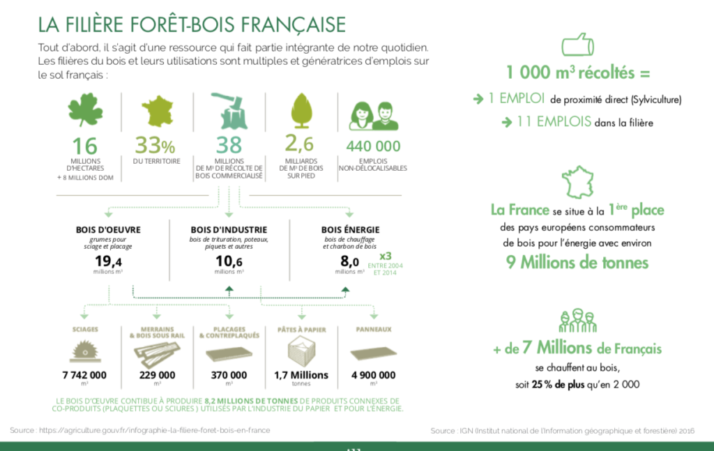 La filière forêt-bois en France