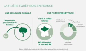 La filière forêt-bois en France