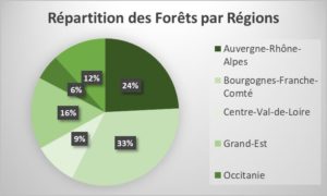 gfi-france-valley-patrimoine-repartition-des-forets