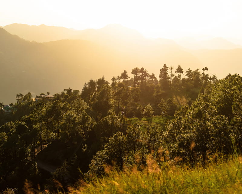 le-gfi-coeur-forest-et-le-label-greenfin-une-consecration-environnementale