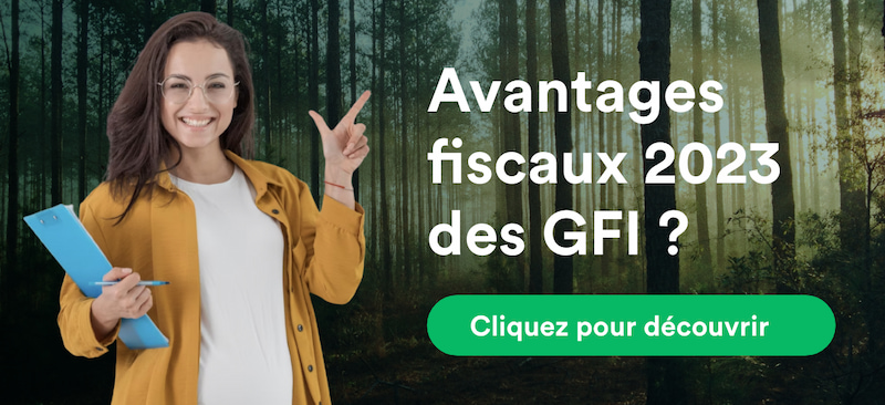 Avantages-fiscaux-2023-des-GFI