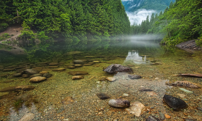 pourquoi-integrer-la-foret-dans-son-patrimoine