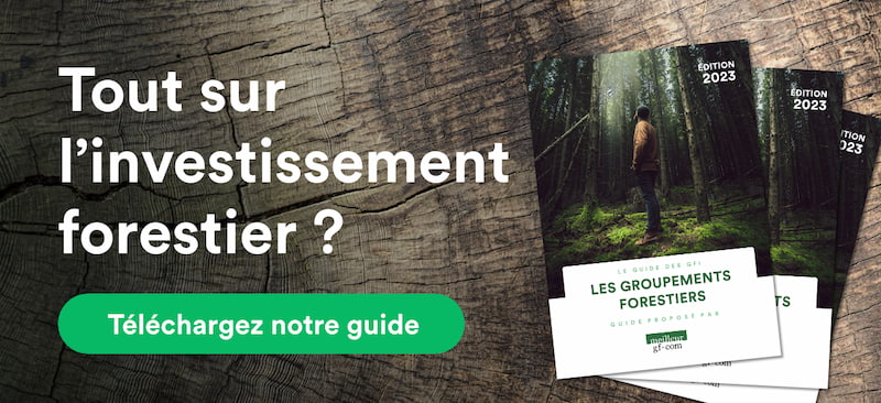 tout-sur-l-investissement-forestier