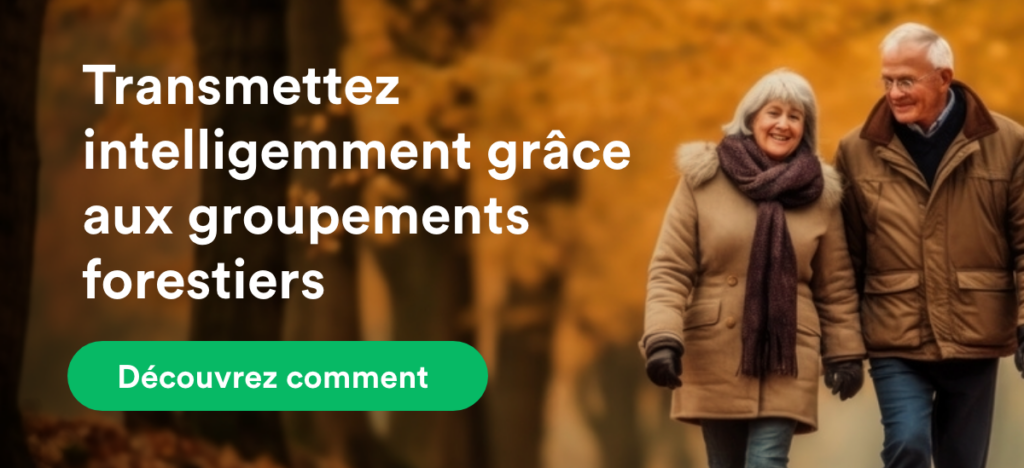 transmettre-intelligement-grace-au-groupements-forestiers