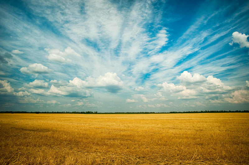 les-groupements-fonciers-agricoles-d-investissement-vont-etre-crees