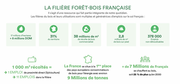 la-filiere-foret-bois-francaise