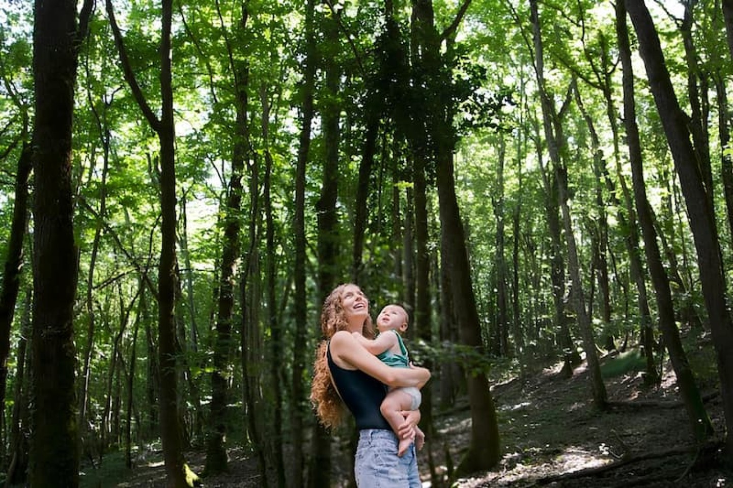 coeurforest2 GFI header