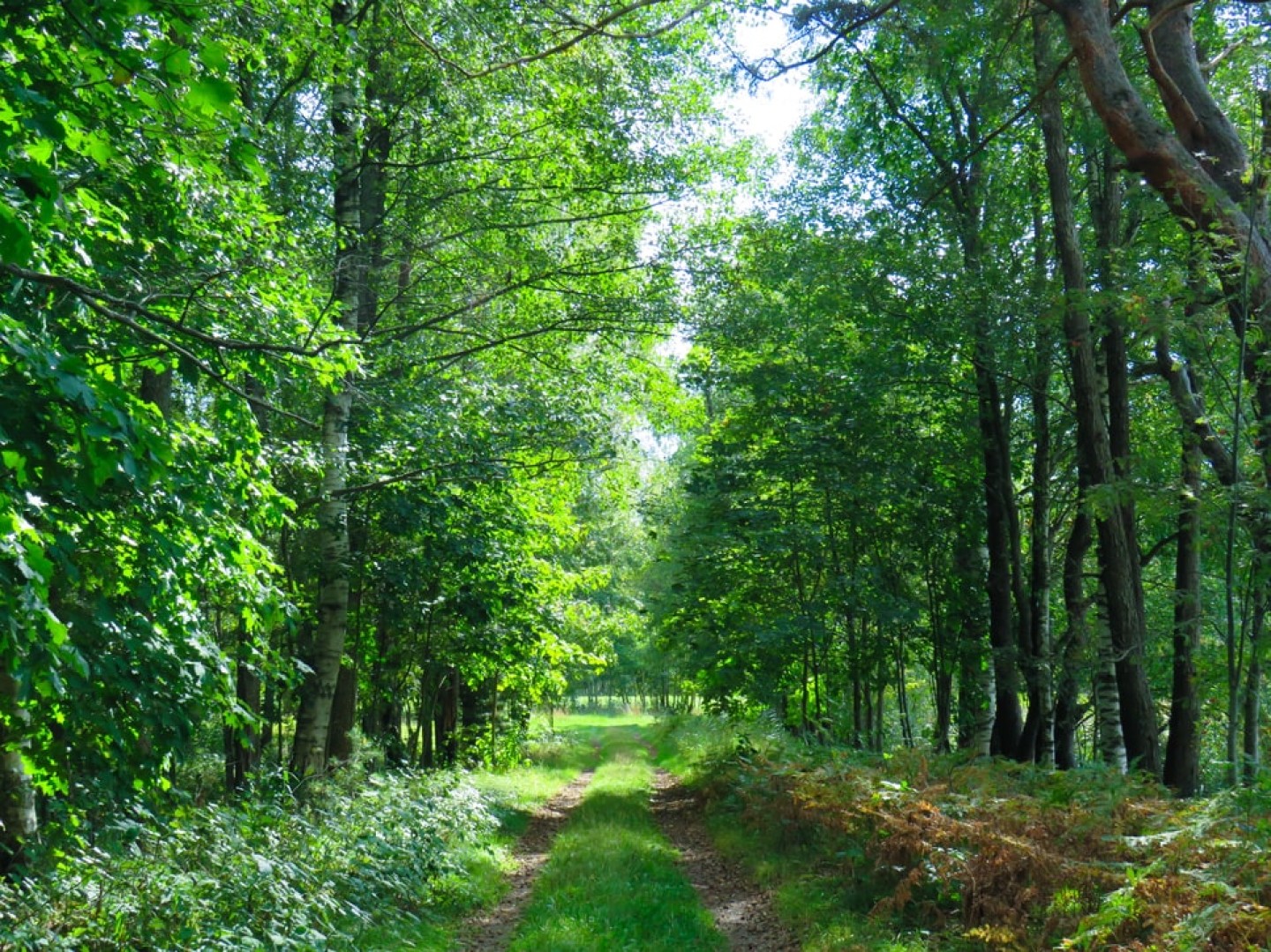 groupement-forestier-fonds-dedie-1