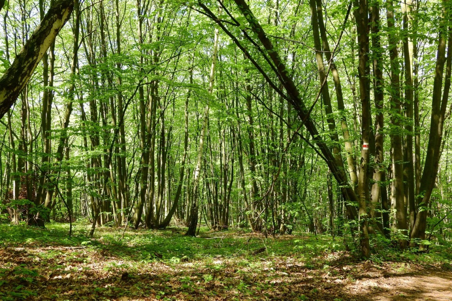 13-04-2018_france-valley-patrimoine