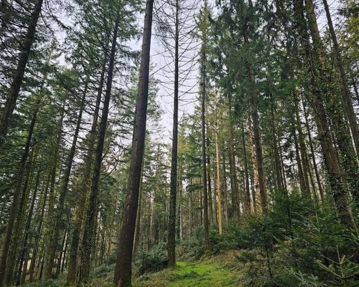 France valley header