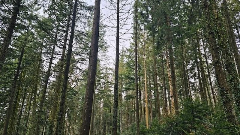 France valley header