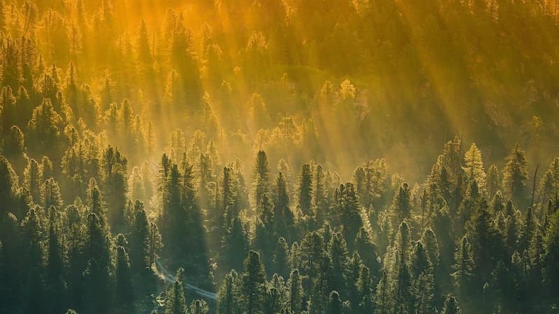 GFI MGF header