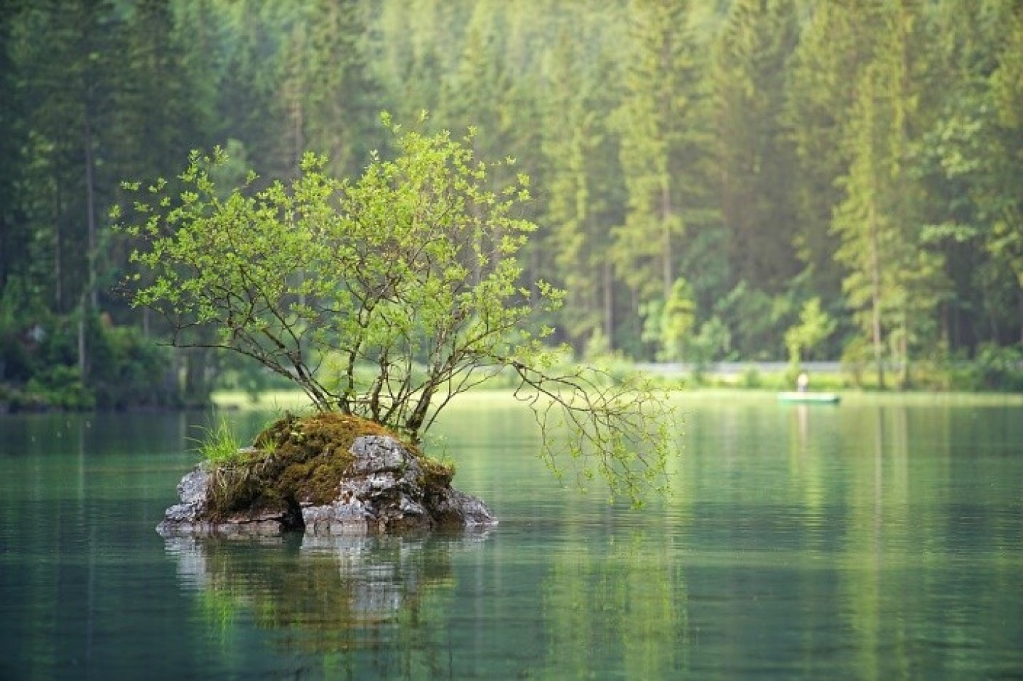 Comment fonctionne un groupement forestier ?